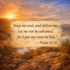 Psalm 25:20 Bible verse about trusting God for protection and deliverance