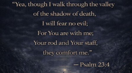 Verse of the Day- Psalms 23:4