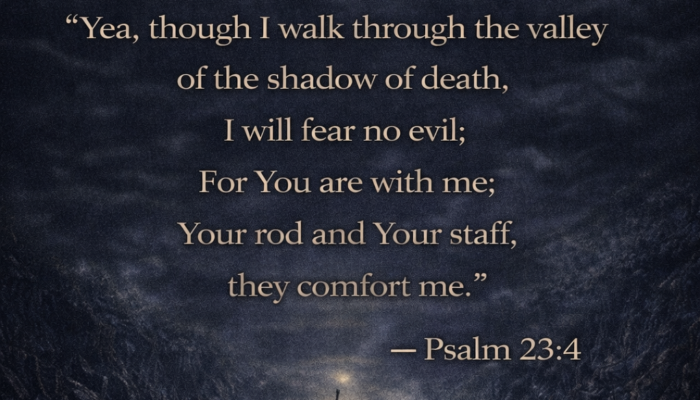 Verse of the Day- Psalms 23:4