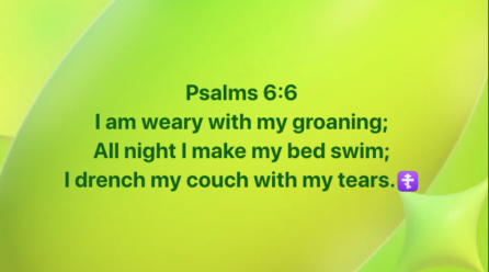 Psalms 6:6 I am weary with my groaning