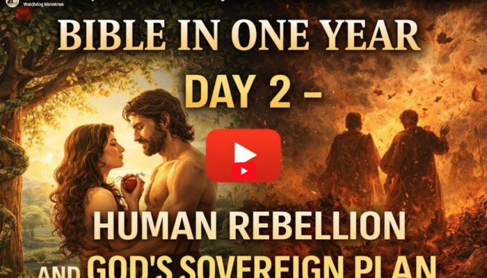 Day 2: Human Rebellion and God’s Sovereign Plan