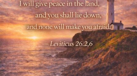 Verse of the Day- Leviticus 26:2,6