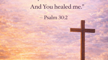 📖 Verse of the Day